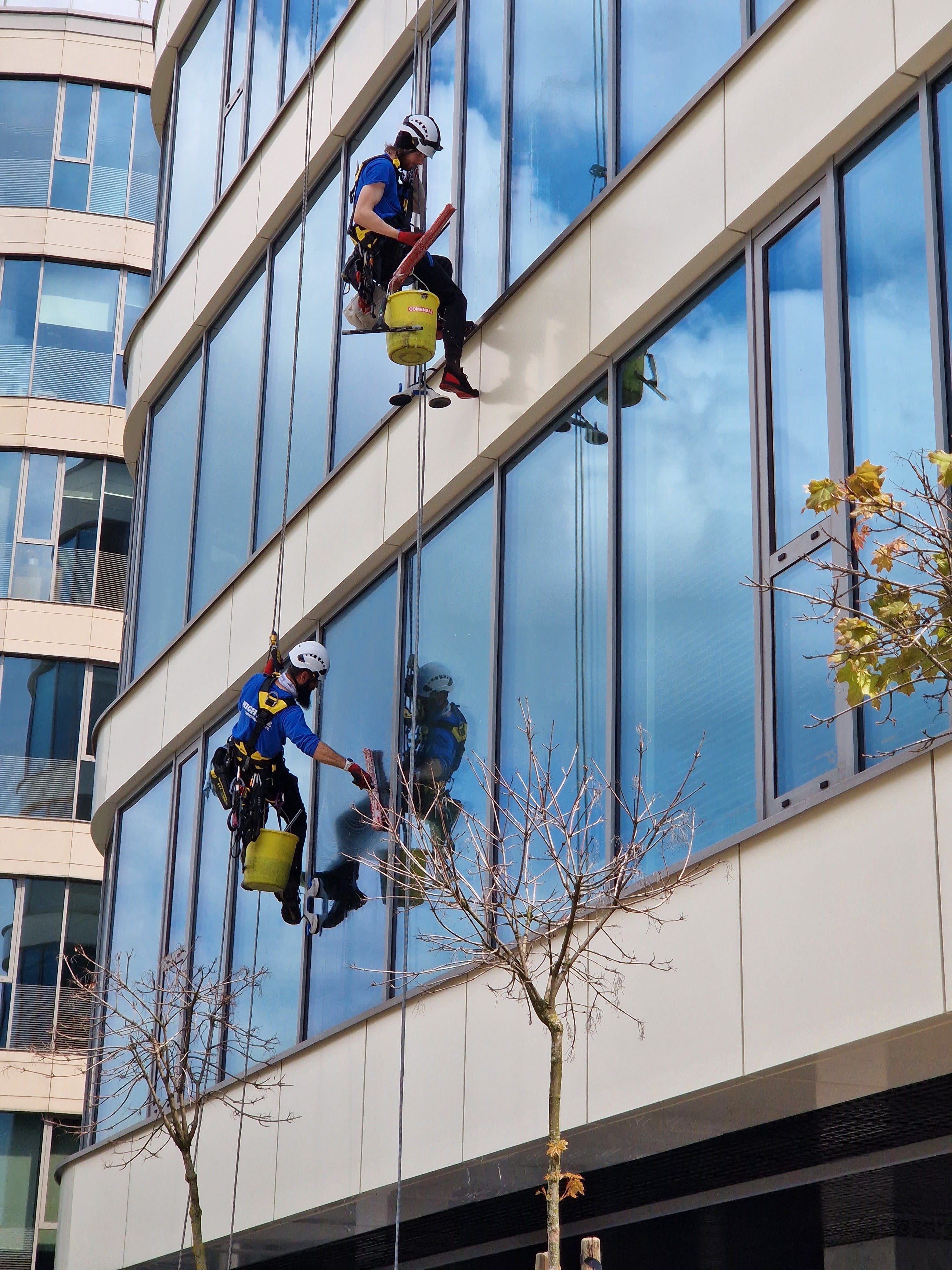 Window Cleaning